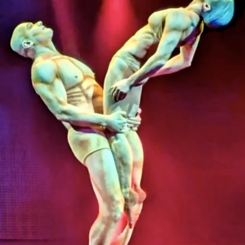 Circo Contemporaneo